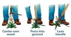 grandpas weeder 2